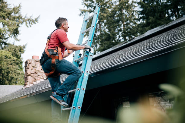 Best Gutter Installation and Repair  in Brewster, OH